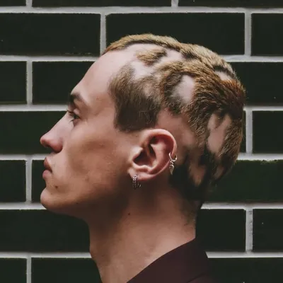 Adam profile