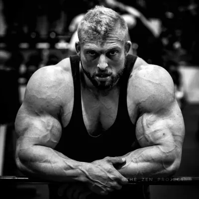 Adam Rochester profile