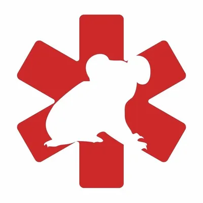 Adelaide Koala Rescue (AKR) profile