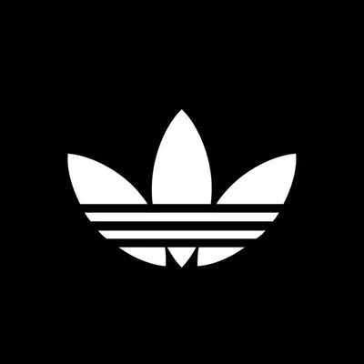 adidas Skateboarding profile