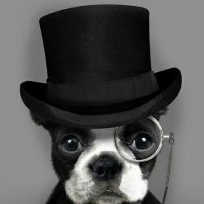 Adiestrados - Adiestramiento Canino ๐ถโค๏ธ๐ profile