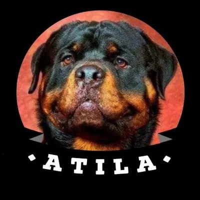 Aᴅɪᴇsᴛʀᴀᴍɪᴇɴᴛᴏ ᴄᴀɴɪɴᴏ 🐕 profile