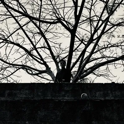 𝘼di profile