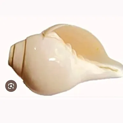 adistar profile