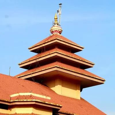 ADIVASI WORLD profile