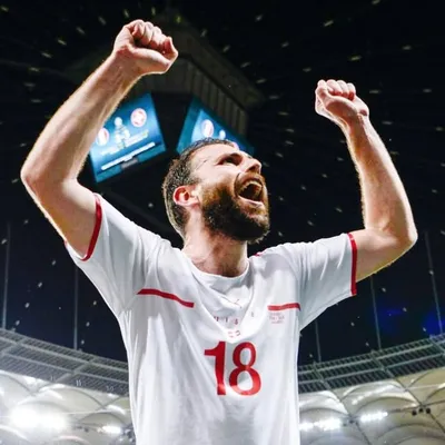 Admir Mehmedi profile