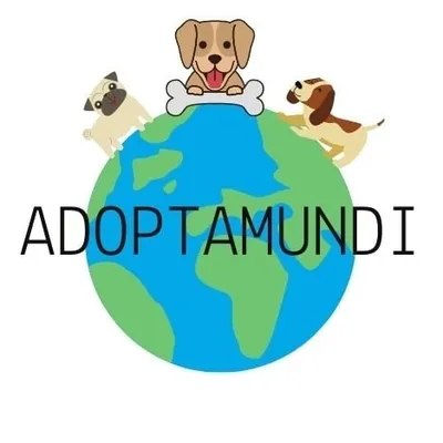 ADOPTAMUNDI - Perritos en adopción profile