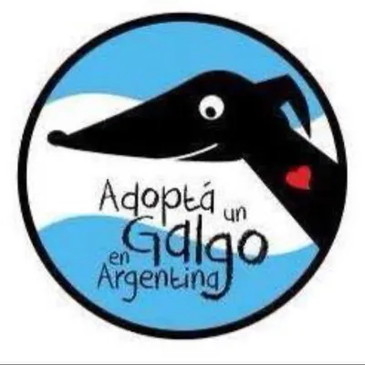 Adopta un galgo en Argentina profile