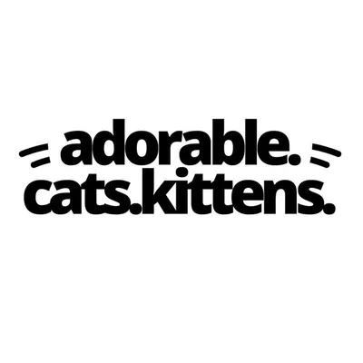 Cat Herder profile