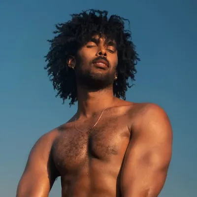 Adrian Hollinger profile