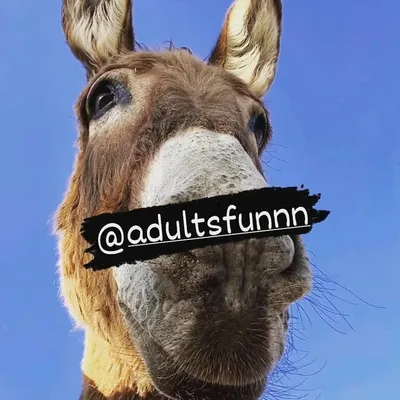 LAUGHTER DOSE ๐ profile