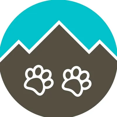 Adventrapets | Adventure Pets profile