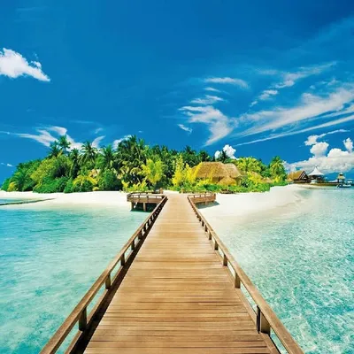Travel Adventure Nature profile