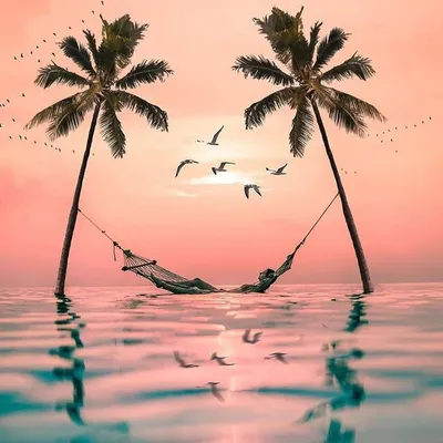 ADVENTURE ◍ TRAVEL ◍ NATURE profile
