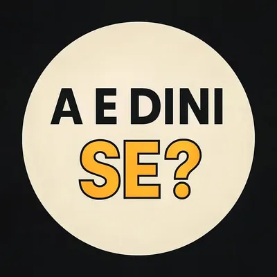 A E DINI SE Official profile