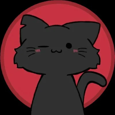 AEIN_Anu profile