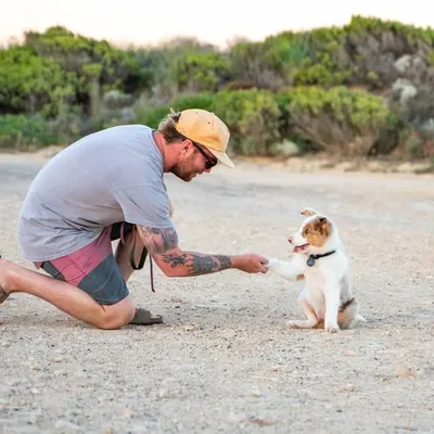 James Knight AUSTRALIA Instagram profile photo