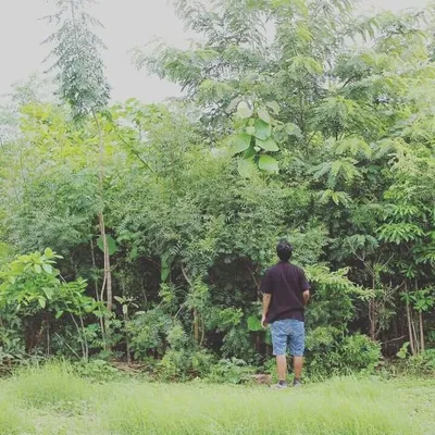 AFFORESTT profile