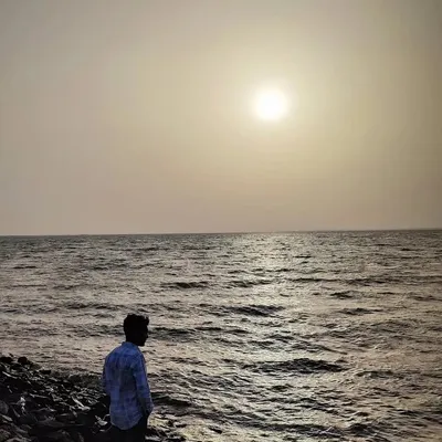 شیر افگن profile