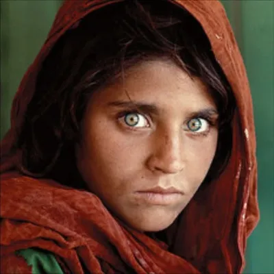 Afghan show profile