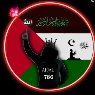 afjal saifi profile