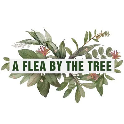 afleabythetree profile