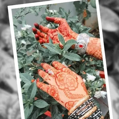 Afrin Mehndi design profile