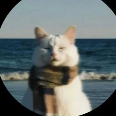 ๐๐๐ณ๐๐ฅ๐ค๐ก๐๐ง๐ profile