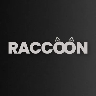 Agência Raccoon | Inteligência que conecta profile