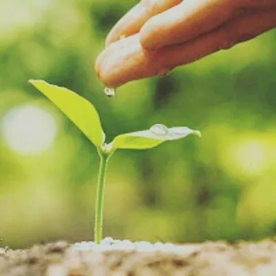 Agriculture knowledge profile