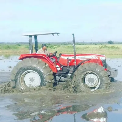 agriculture_suriname_nickerie profile