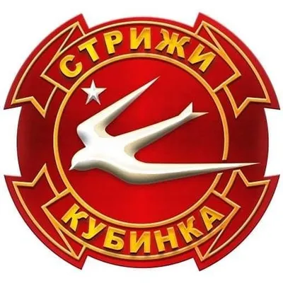 АГВП "Стрижи"🇷🇺 profile