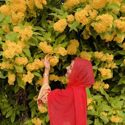 Alisha Writes ๐ profile