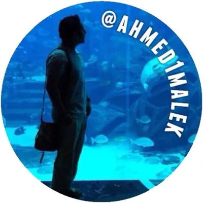 Ahmed Malek ﮼احمد،ملك profile