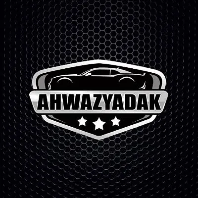 Amir Valizadeh profile