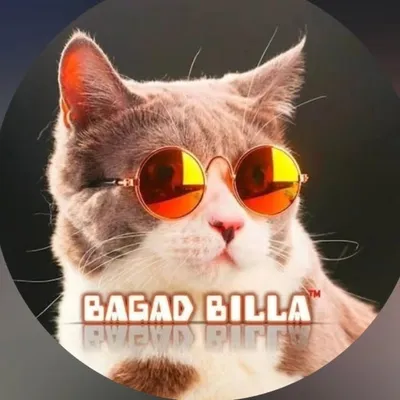 Billa profile