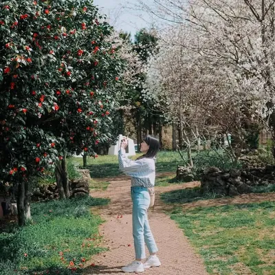 Ai Ling . Rachelle ๐ซ profile