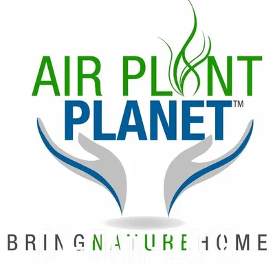 Air Plant Planett - Aquariums and Terrariums profile