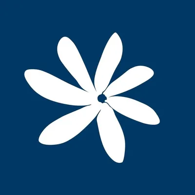 Air Tahiti Nui profile