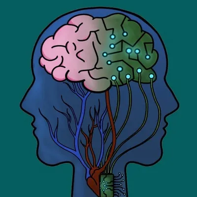 Data Science Python profile