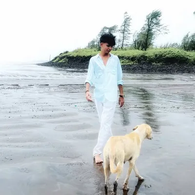 AJAY WALMIKI profile