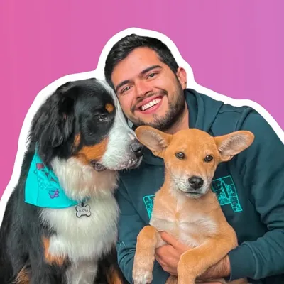 Juandi • Papá perruno 🐶 profile