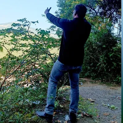ajju is back profile