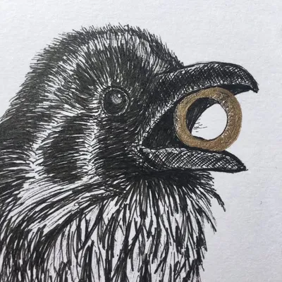 Akcara Studio Ink Drawings profile