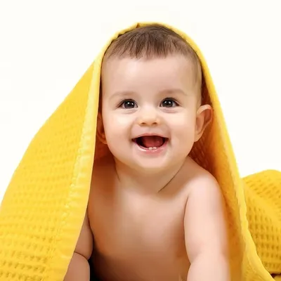 آتلیه عکس الف | کودک نوزاد بارداری profile