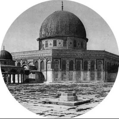Ahmed Al-Salahi أحمد الصلاحي profile
