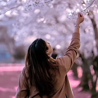 Ramsha عالم profile