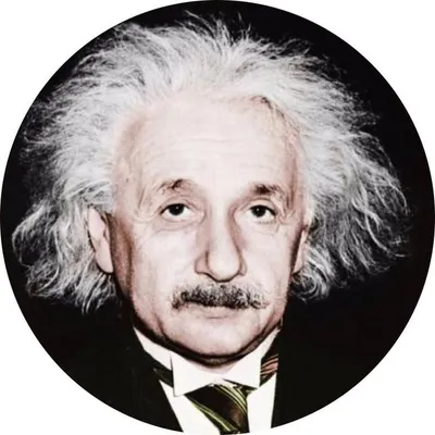 Albert Einstein profile