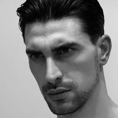 Daniel Aleksic profile
