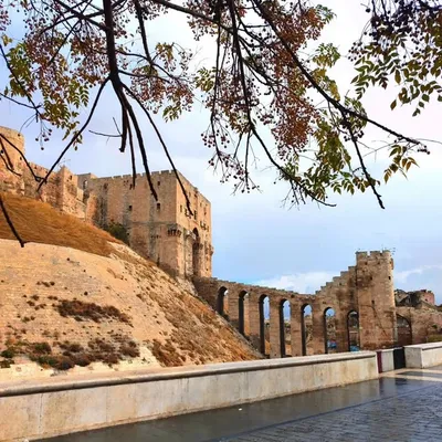 صور و فيديوهات من مدينة حلب 💙 profile